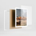 Plakat w ramie 40x50 - Malownicza Harmonia - jelenie, jesień - rama biała