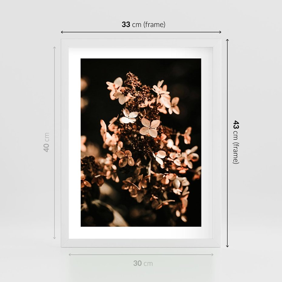 Plakat w ramie 30x40 - Hortensja - Suchy Kwiat w Sztuce - hortensja, suchy kwiat - rama biała