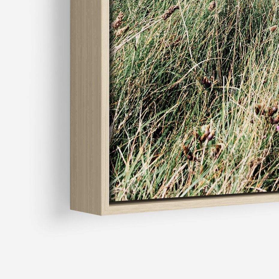 Obraz w ramie 50x70 - Harmonia Natury - widok z wydm, wydmy porośnięte trawami - rama drewno