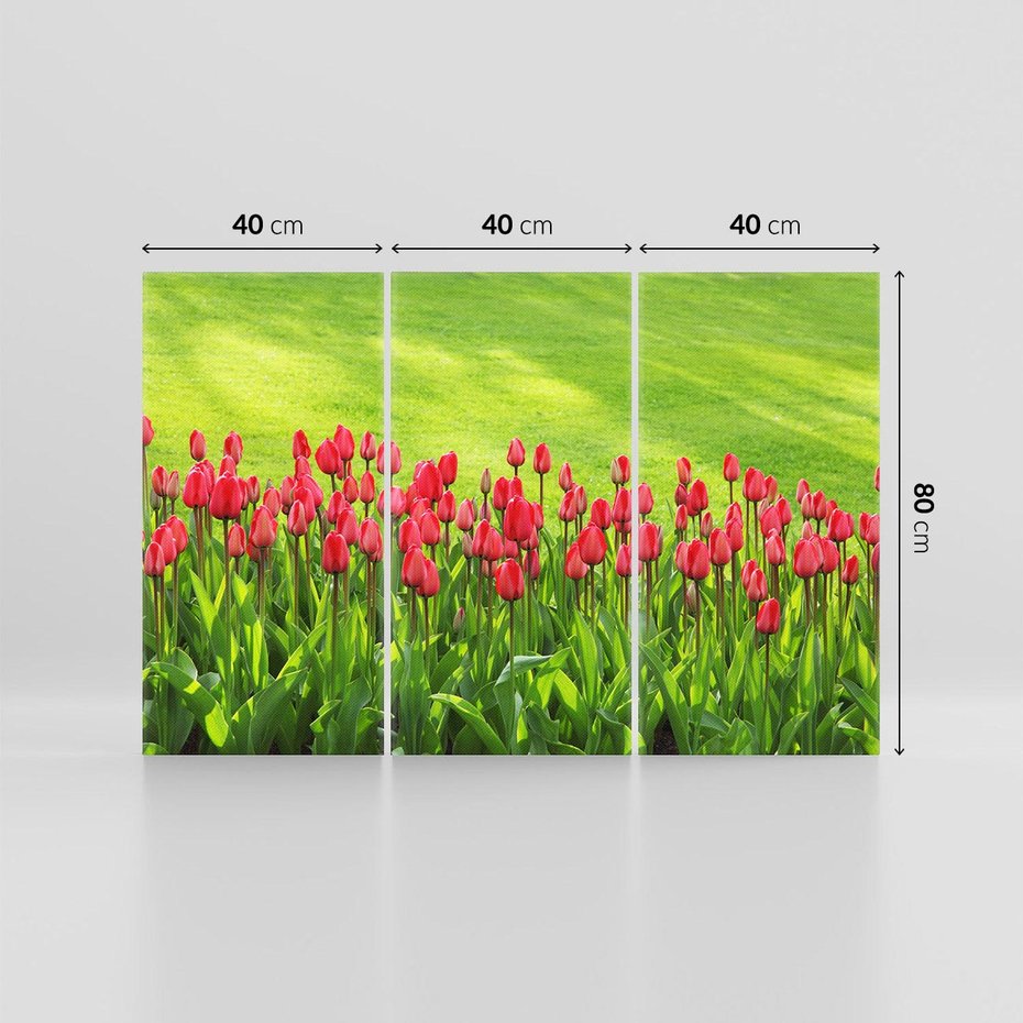 Obraz na płótnie 120x80 - Tulipanowy raj - kwiat, kwiaty