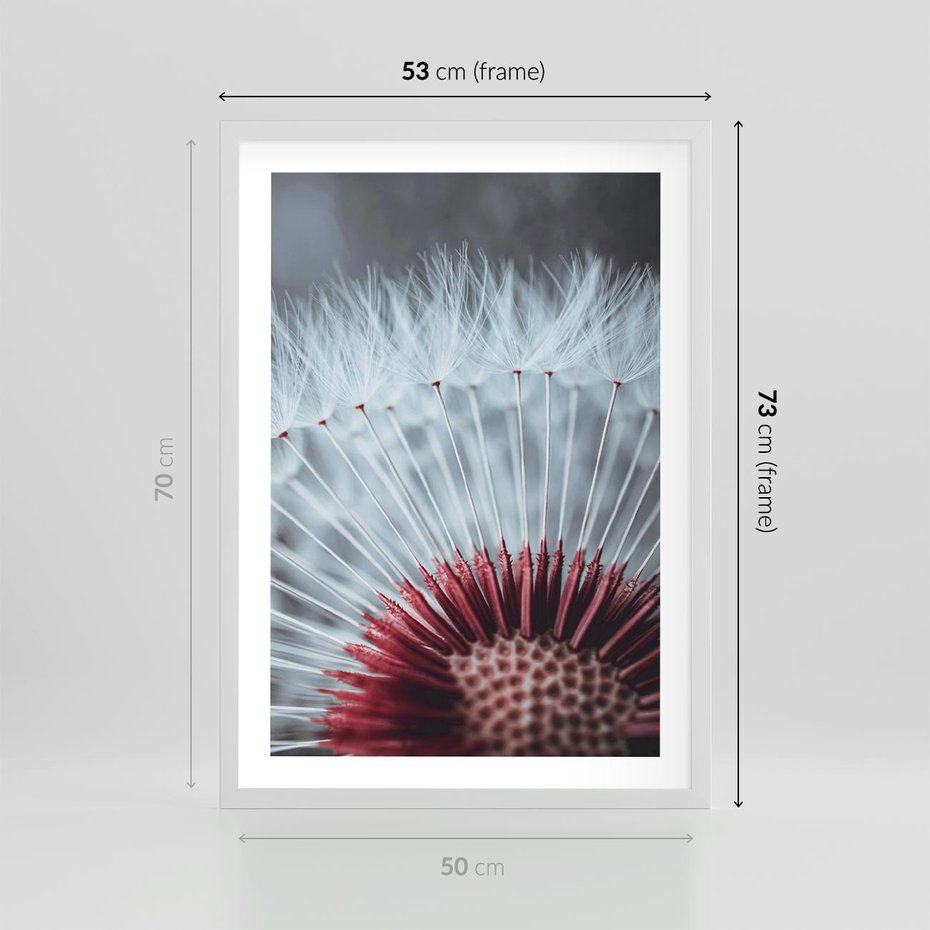 Plakat w ramie 50x70 - Dmuchawiec w Detalu - dmuchawiec, zdjęcie makro - rama biała
