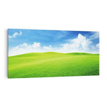 Obraz na płótnie 140x70 - Łąka pod Niebem - łąka, niebo