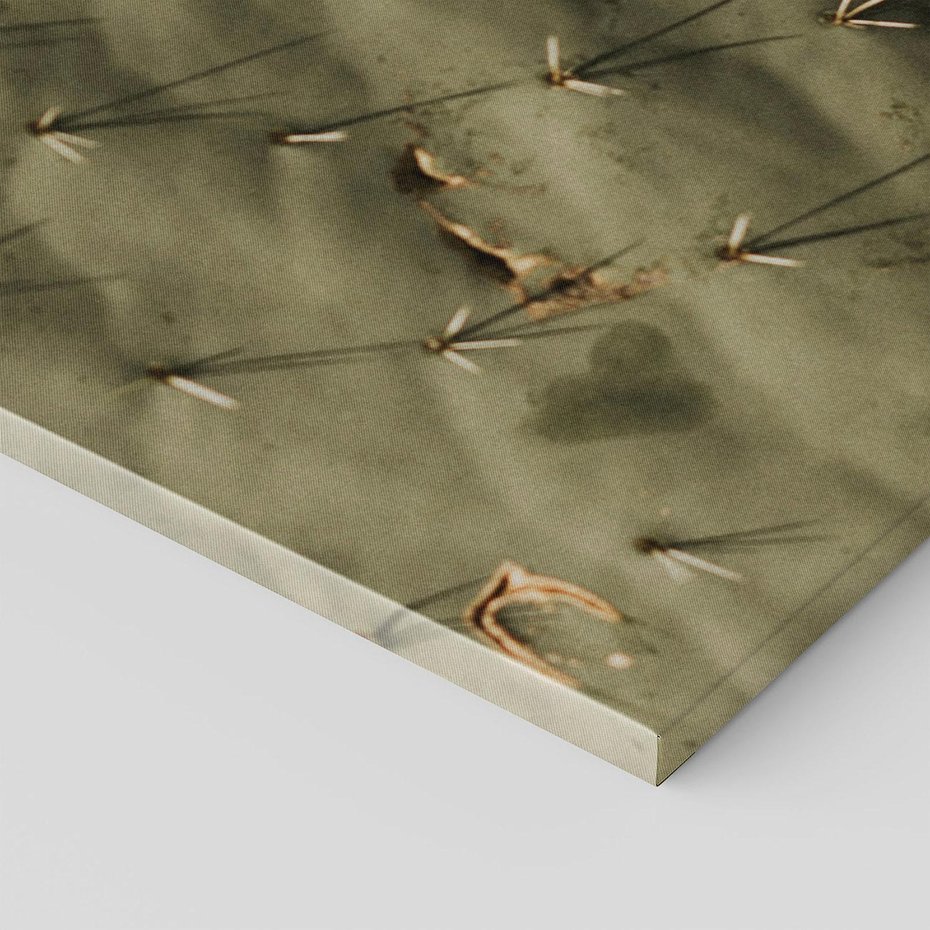 Obraz na płótnie 100x70 - Urok Egzotyki - kaktusy, boho