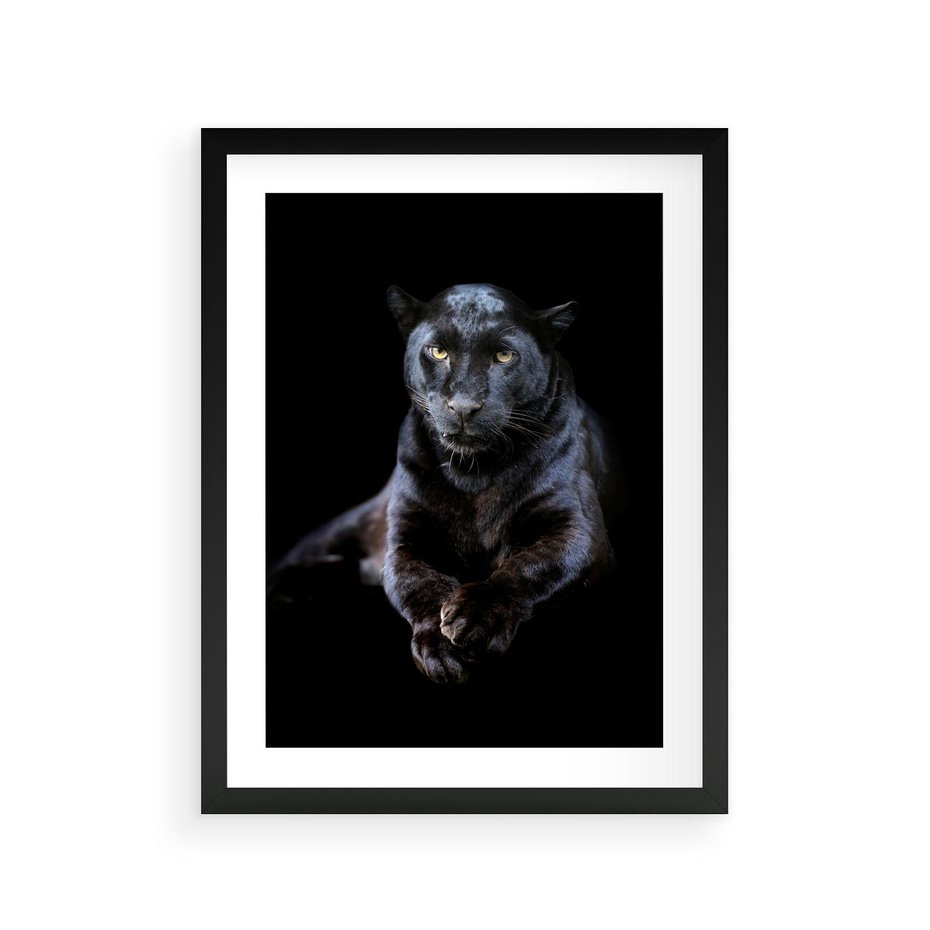 Plakat w ramie 30x40 - Czarna pantera: majestat i siła - czarna, pantera - rama czarna