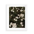 Plakat w ramie 40x50 - Czyste Piękno - białe kwiaty, białe róże - rama biała