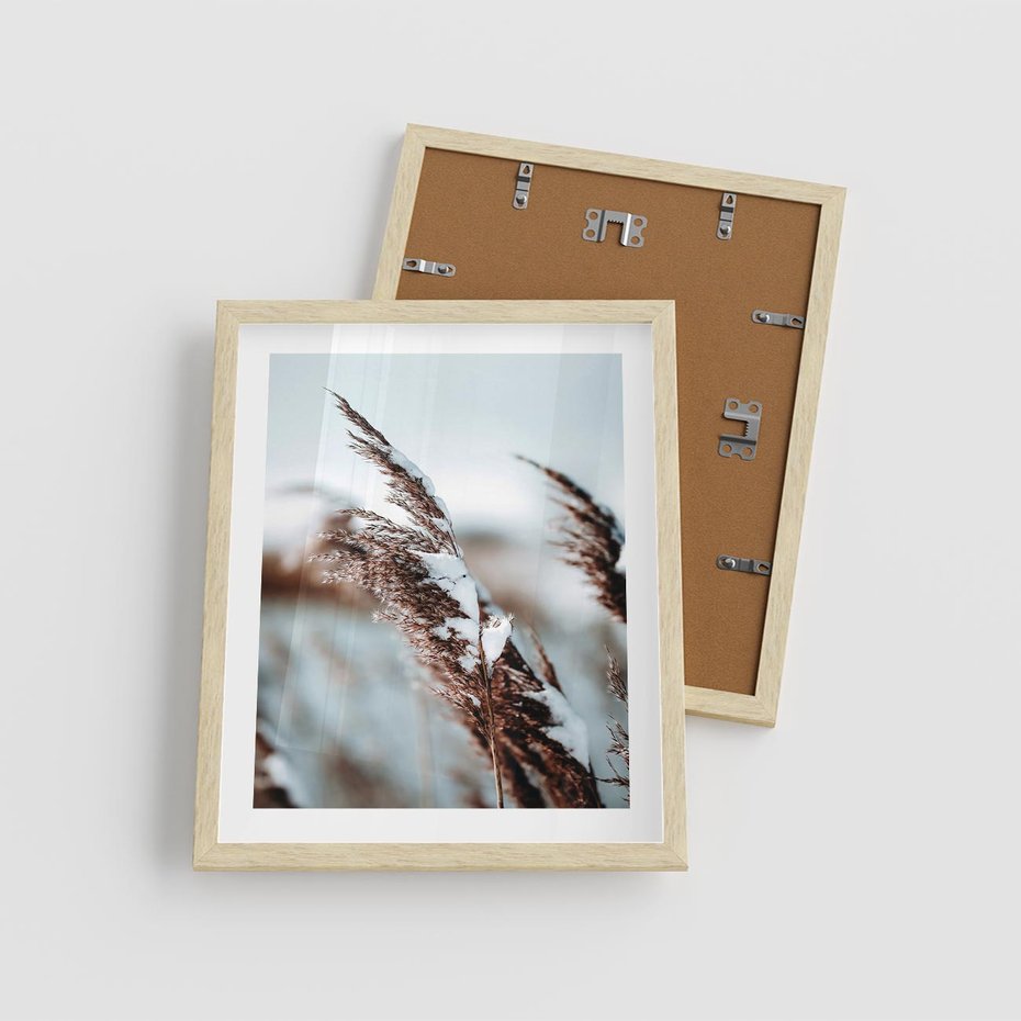 Plakat w ramie 40x50 - Zima na Suchych Trawach - suche trawy, śnieg wysokich na trawach - rama drewno