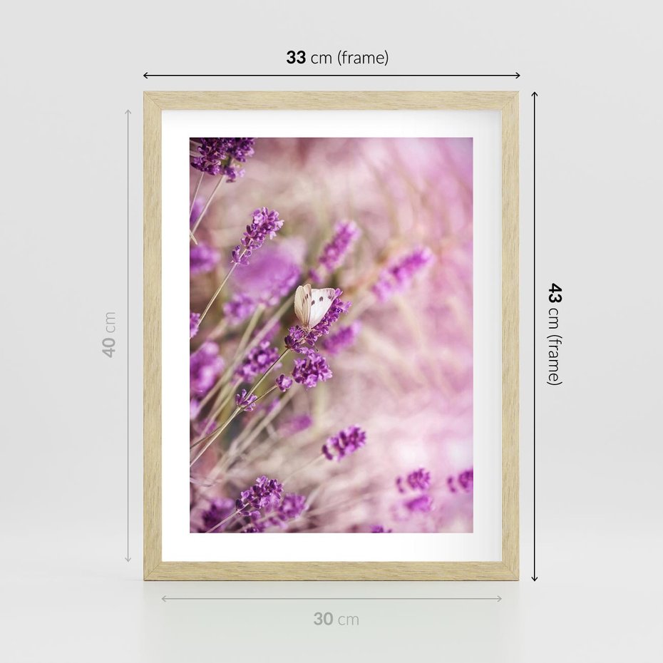 Plakat w ramie 30x40 - Majestat lawendy: fioletowe pola - lawenda, fiolet - rama drewno