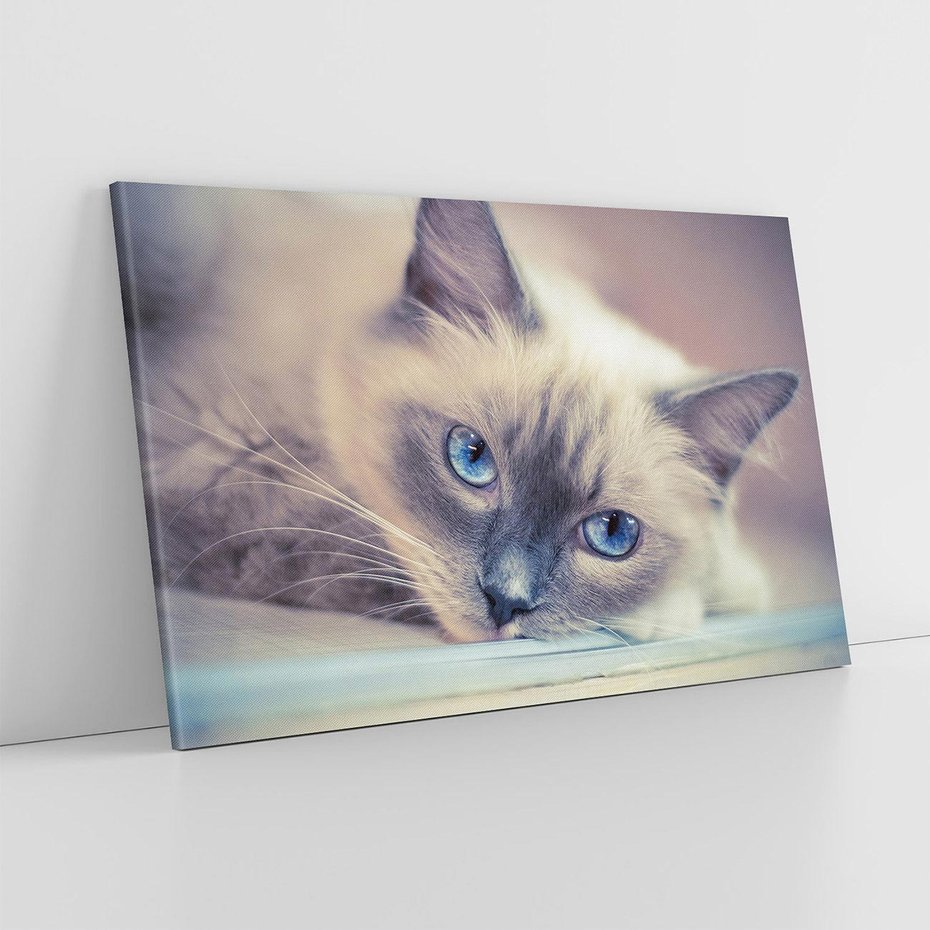 Obraz na płótnie 100x70 - Kotek w artystycznym stylu - kot, kotek