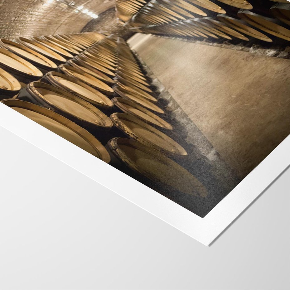 Plakat bez ramy 21x30 - Winniczka - winnica, beczki