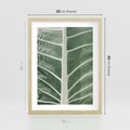 Plakat w ramie 30x40 - Zielone Wielkości: Zbliżenie Liścia - zbliżenie duz liść, jasna zieleń - rama drewno
