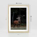 Plakat w ramie 30x40 - Spotkanie z naturą - jeleń, las - rama drewno
