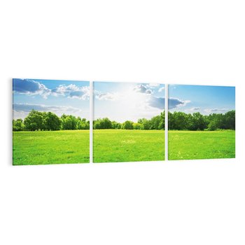 Obraz na płótnie 150x50 - Idylla na łące drzew - łąka, drzewa