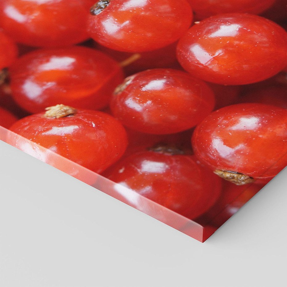 Obraz na płótnie 60x60 - Pożeczka - Czerwony Skarb - pożeczka, owoc