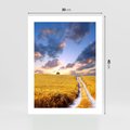 Plakat bez ramy 30x40 - Magiczna droga w lesie - droga, ścieżka