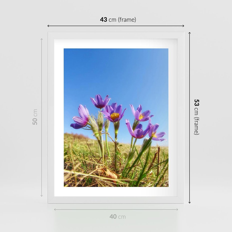 Plakat w ramie 40x50 - Kwiatowa siła łąki - kwiaty, łąka - rama biała
