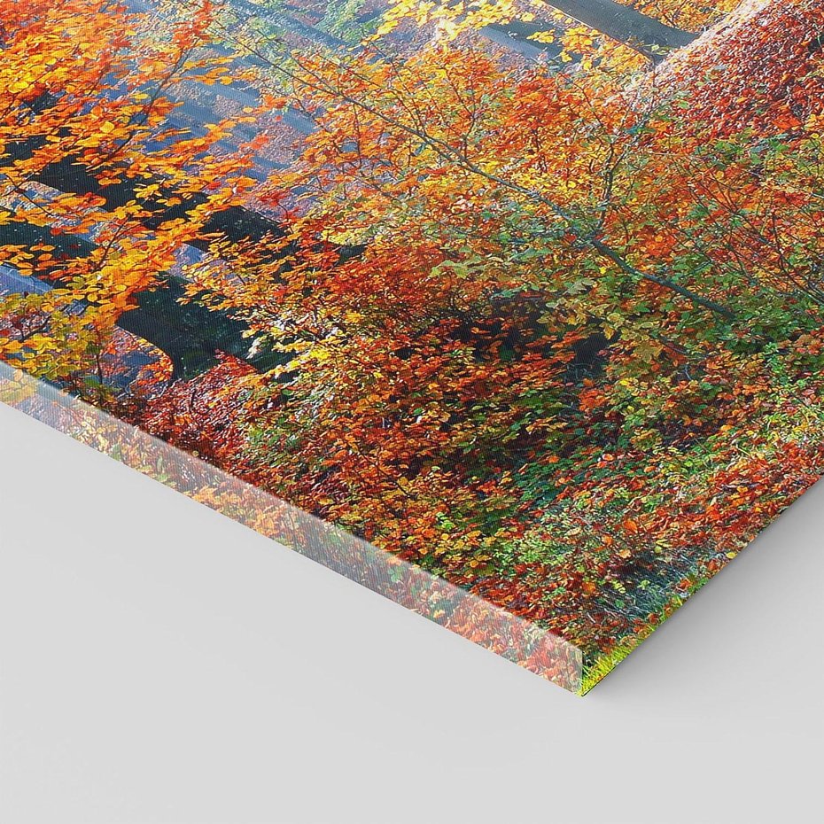 Obraz na płótnie 50x70 - Jesienny taniec lasu - jesień, las