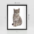 Plakat w ramie 40x50 - Kocie uroki na płótnie - kot, kotek - rama czarna