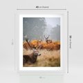 Plakat w ramie 40x50 - Malownicza Harmonia - jelenie, jesień - rama biała
