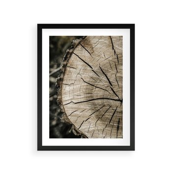 Plakat w ramie 30x40 - Wnętrze Natury - pień, przecięty pień - rama czarna