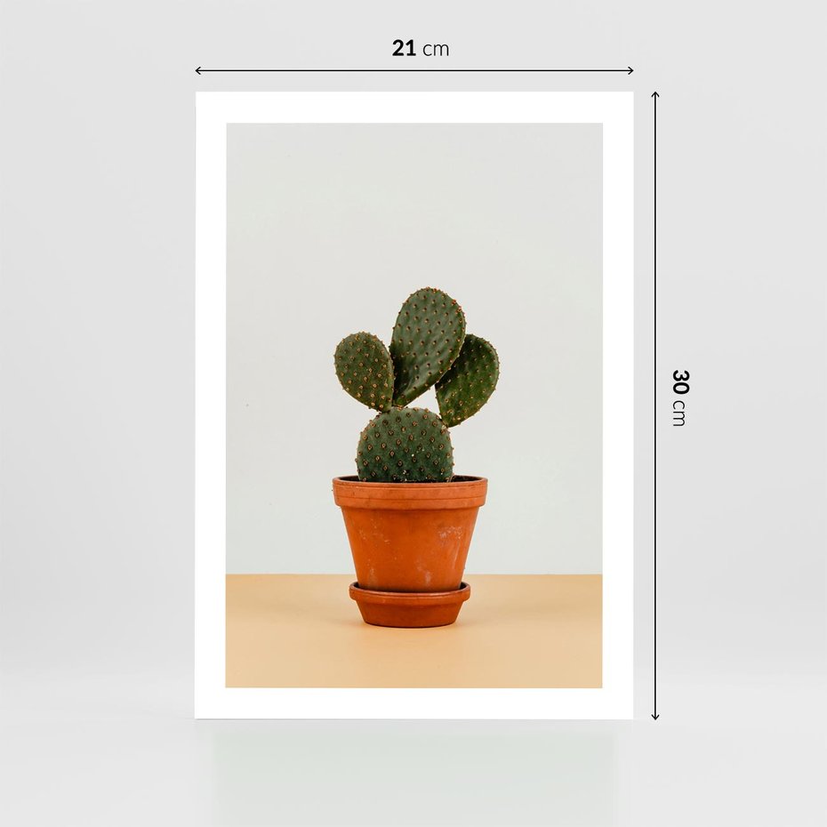 Plakat bez ramy 21x30 - Kwiatowy taniec kaktusa - kaktus, kwiat