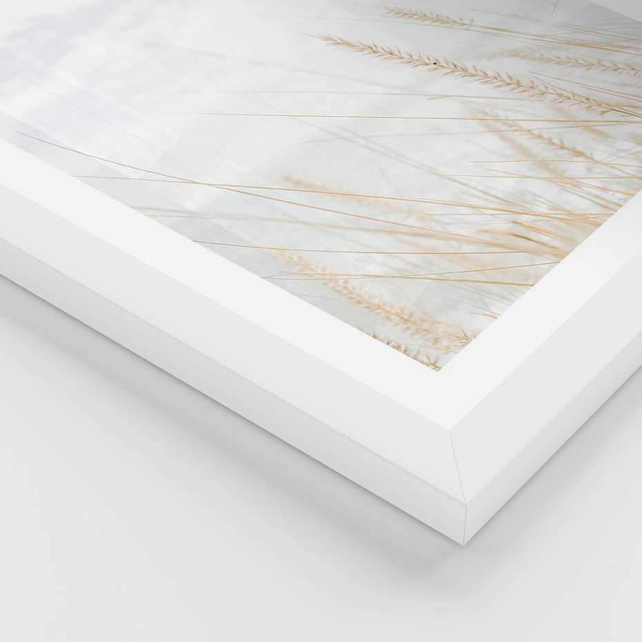 Plakat w ramie 40x50 - Jasna Delikatność: Fotografia Suchych Traw - suche trawy, jasna fotografia - rama biała