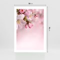 Plakat bez ramy 50x70 - Kwitnąca wiśnia: delikatność natury - kwitnąca, wiśnia