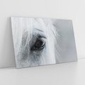 Obraz na płótnie 120x80 - Oko Mocy - czarno białe zdjęcie, zbliżenie makro na oko konia