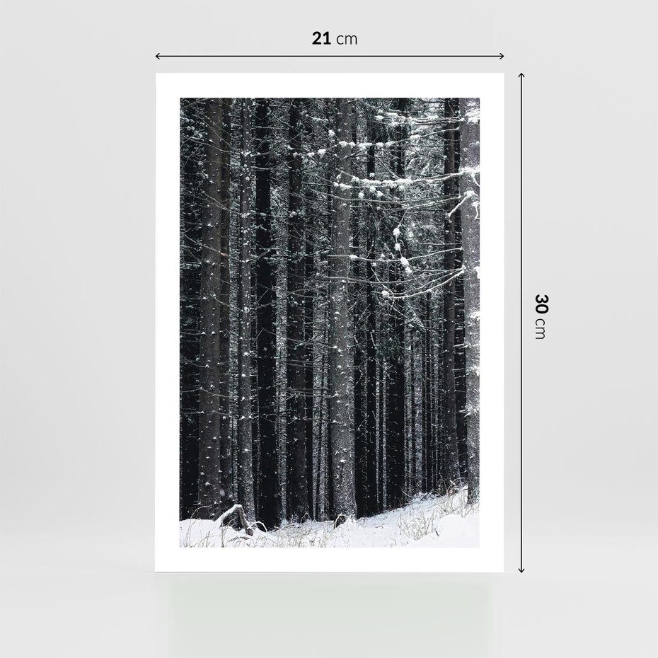 Plakat bez ramy 21x30 - Leśna Cisza: Malowniczy Pejzaż Zimą - las zimą, ośnieżone pnie drzew