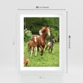 Plakat w ramie 30x40 - Galopujące konie - konie, galop - rama biała
