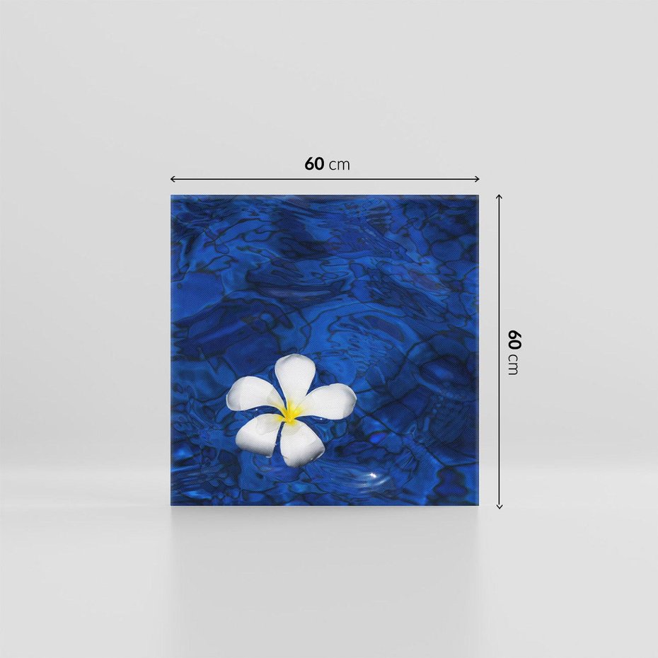 Obraz na płótnie 60x60 - Kwiaty wodne delikatność natury - kwiat, woda