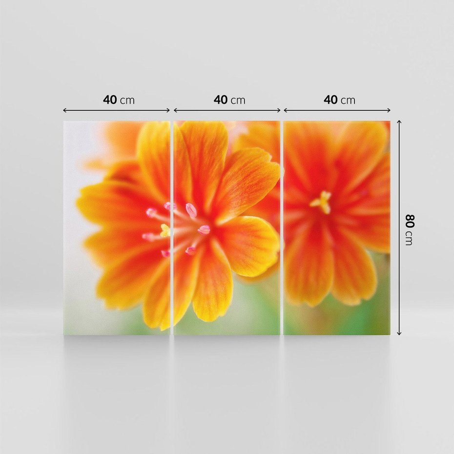 Obraz na płótnie 120x80 - Urok kwiatów - kwiat, kwiaty