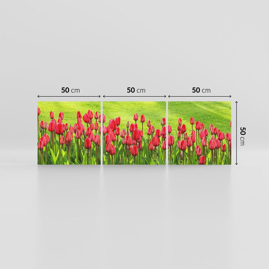 Obraz na płótnie 150x50 - Tulipanowy raj - kwiat, kwiaty