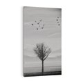 Obraz na płótnie 50x70 - Samotne Drzewo - samotne drzewo w polu, czarno białe zdjęcie