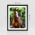 Plakat w ramie 40x50 - Portret Szlachetnego Konia - koń, portret - rama czarna