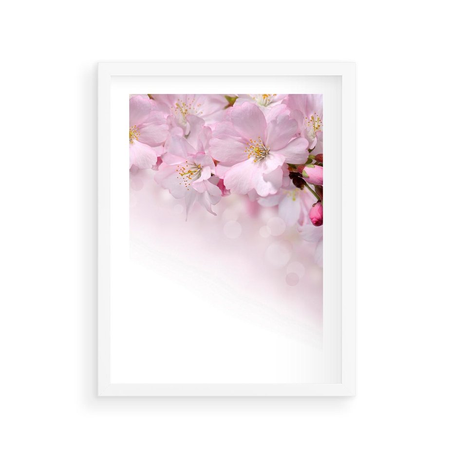 Plakat w ramie 30x40 - Kwitnąca Wiśnia - kwiaty, kwitnącej - rama biała