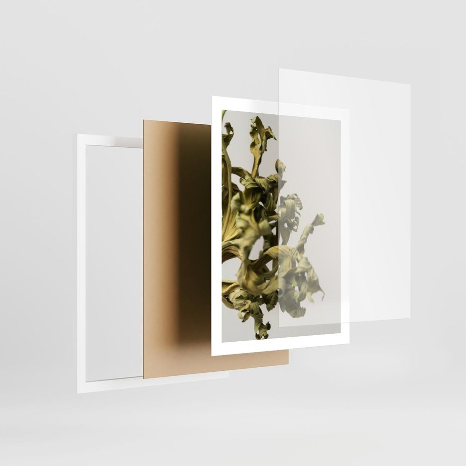 Plakat w ramie 50x70 - Odejście pory deszczowej - suche, trawy - rama biała