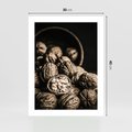 Plakat bez ramy 30x40 - Orzechy Włoskie w Sepii - orzechy włoskie, fotografia retro
