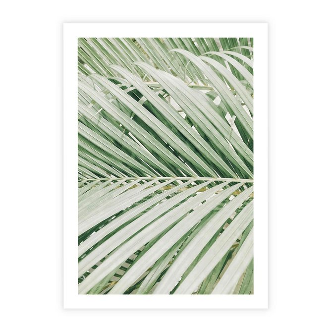 Plakat bez ramy 21x30 - Liście Palmy: Egzotyczna Grafika - palma, liście palmy