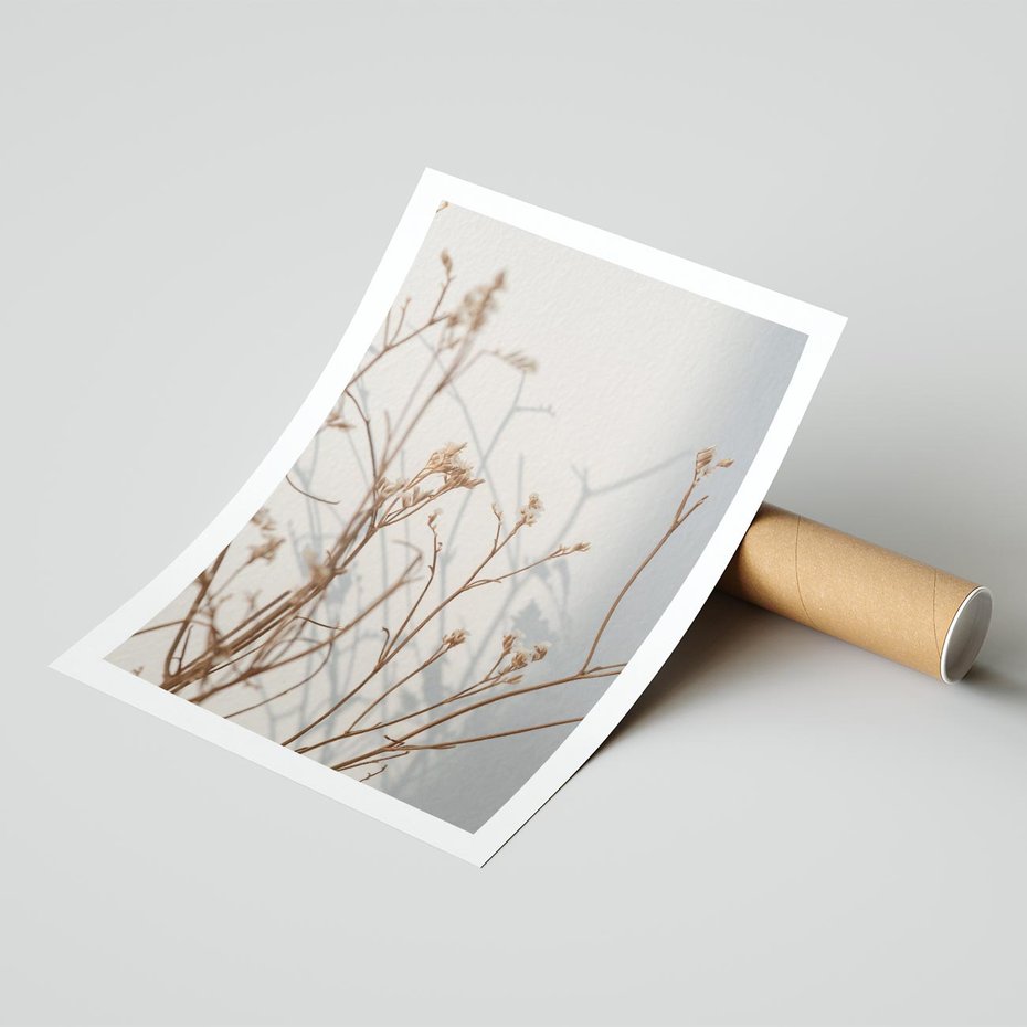 Plakat bez ramy 40x50 - Boho gałązki suche - gałązki, suche