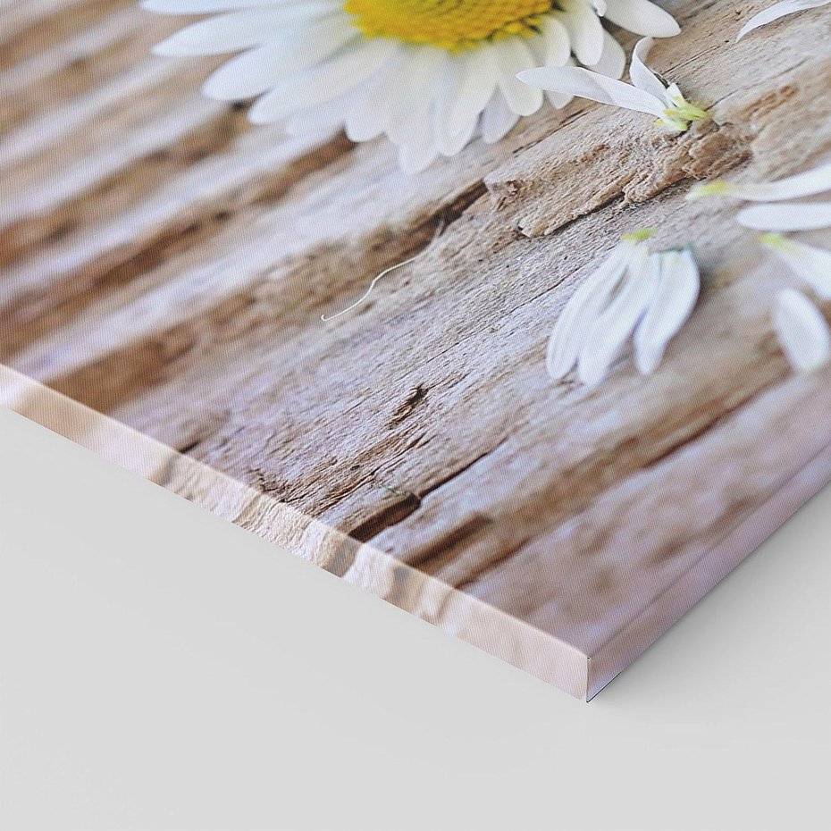 Obraz na płótnie 100x70 - Stokrotkowa Delikatność - stokrotka, kwiaty