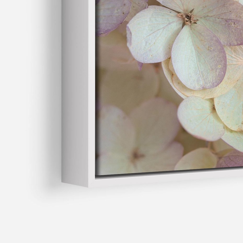 Obraz w ramie 80x80 - Kwiatowy taniec - kwiaty, hortensje - rama biała