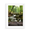 Plakat w ramie 50x70 - Strumyk w lesie - strumyk, w lesie - rama biała
