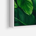 Obraz w ramie 80x120 - Palma Liście Kwiat - palma, liście - rama biała