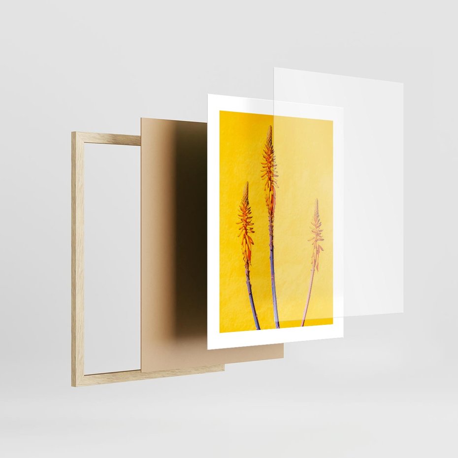 Plakat w ramie 30x40 - Radość Natury - kolor, kwiaty - rama drewno