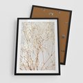 Plakat w ramie 50x70 - Minimalistyczna Delikatność - białe kwiaty, gipsówka - rama czarna