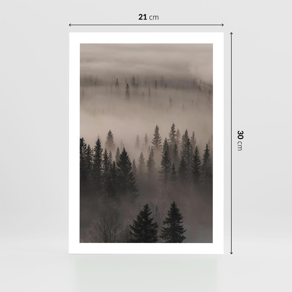 Plakat bez ramy 21x30 - Mglista Opowieść Lasu - las, mgła