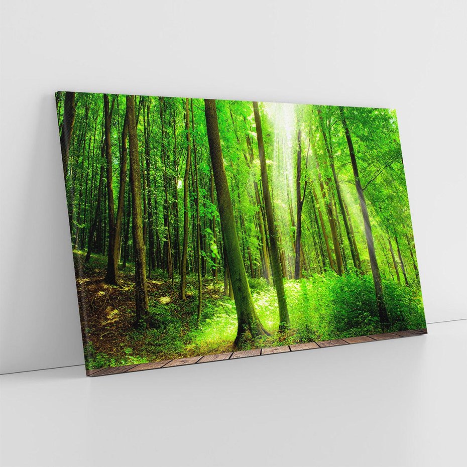 Obraz na płótnie 120x80 - Spacer po urokliwej dróżce w lesie - las, dróżka