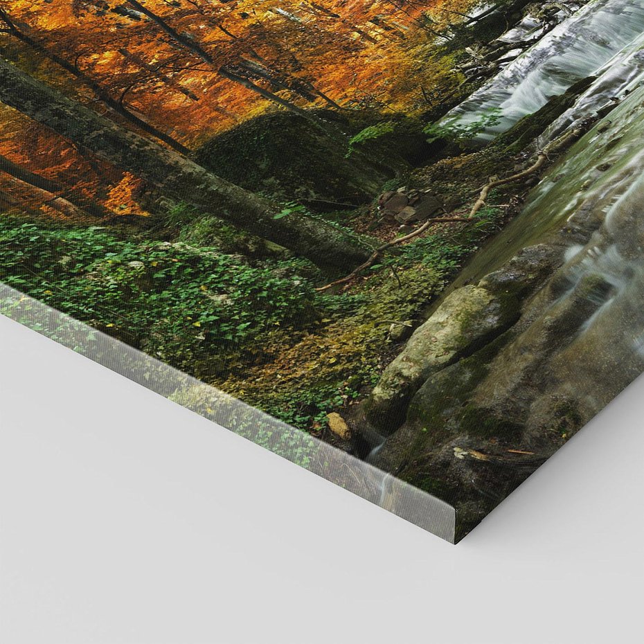 Obraz na płótnie 100x70 - Urok lasu: drzewa i strumyk w harmonii - las, drzewa