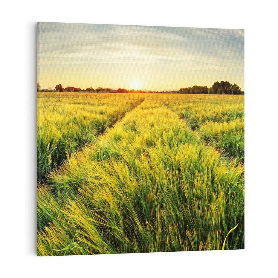 Obraz na płótnie 80x80 - Idylliczna łąka - łąka, natura