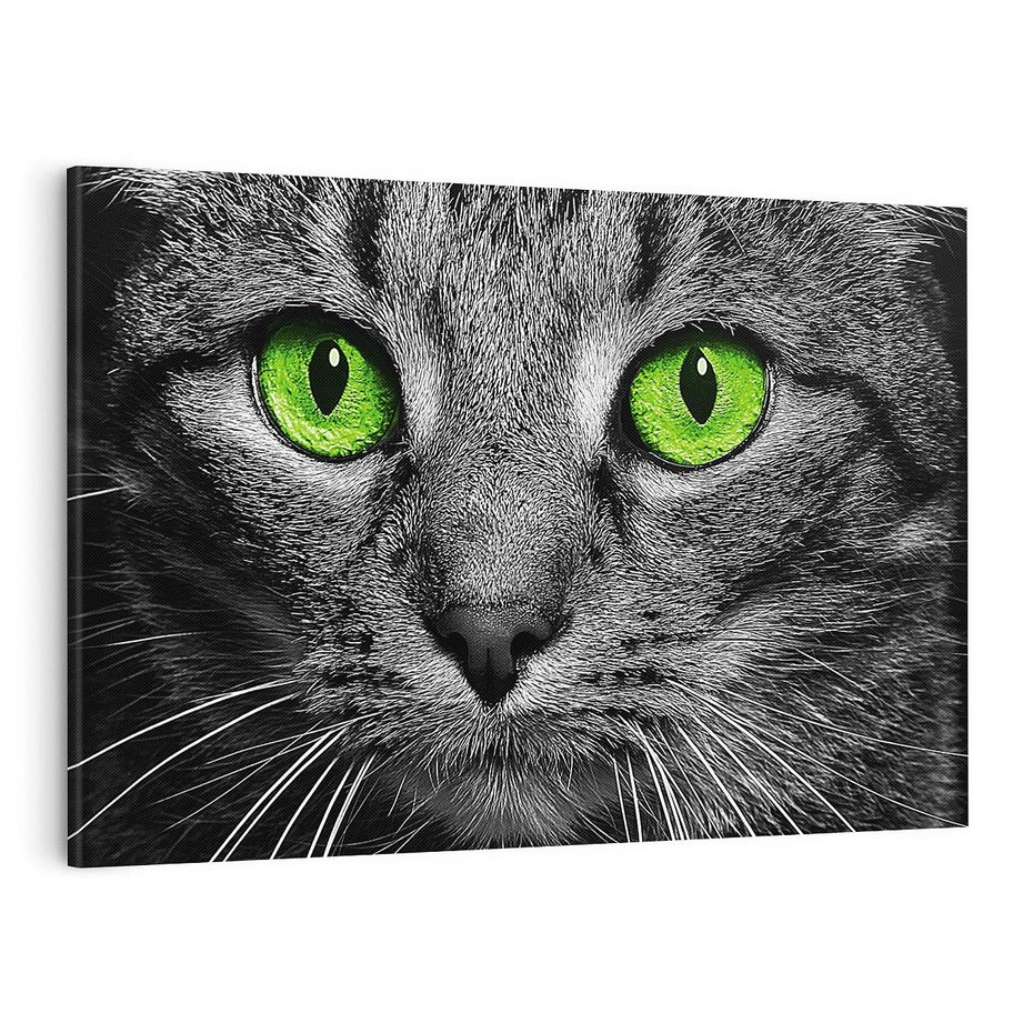 Obraz na płótnie 100x70 - Przestreń nautra  doznania - kot, kotek
